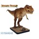 Jurassic Park T-Rex Full 1/5 Scale Maquettte 213 CM (see pre-order details at product description)